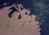 Туманность Андромеды, картон/масло, 2009